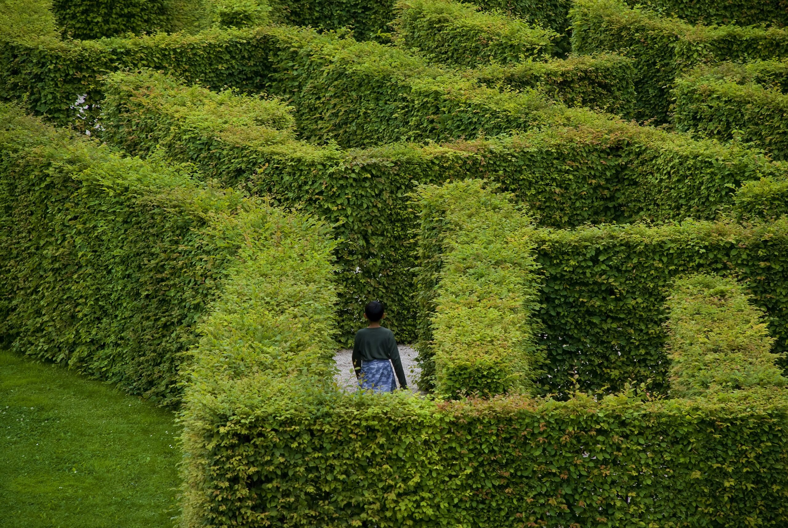 Person in a hedge maze
